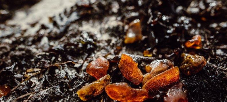 &copy; Binzer Bucht Tourismus