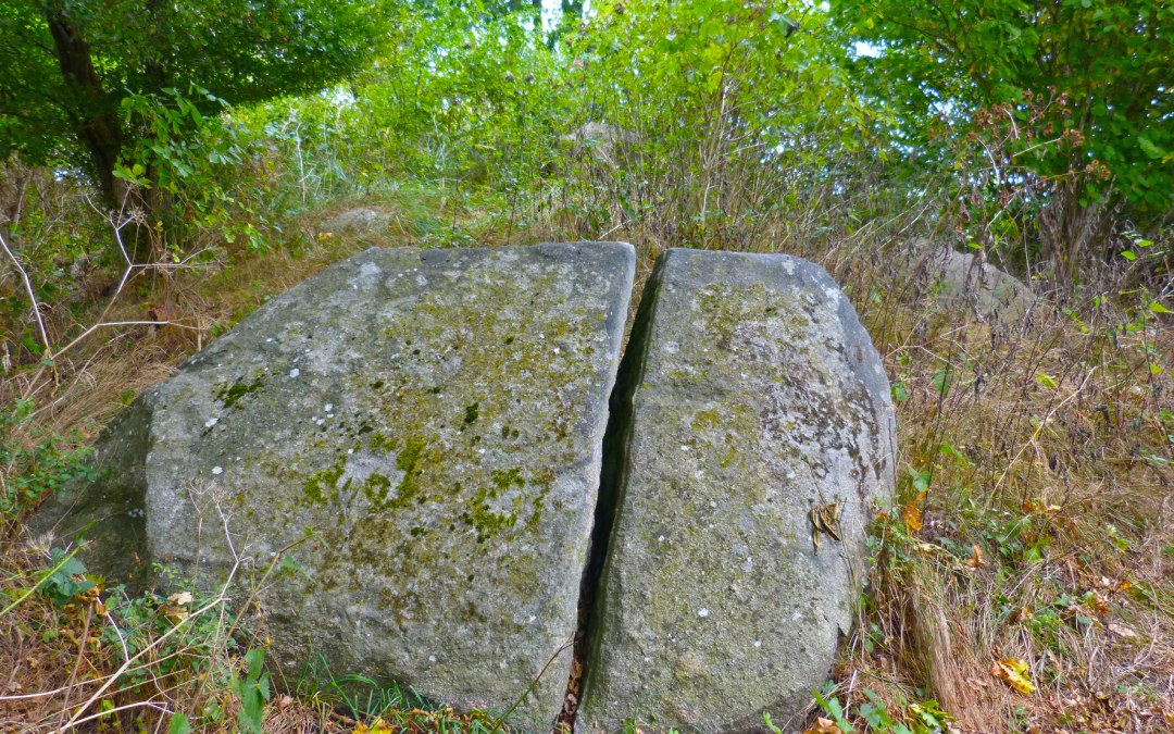 De megalithische graftombe "Blocksberg" bij Posewald, © Archäo Tour Rügen