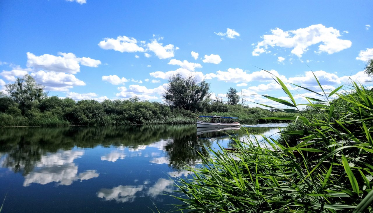 Lancering Regulus, © Jana Koch Lancering Regulus, © Jana Koch