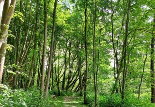 &copy; TZ HST / Kredl