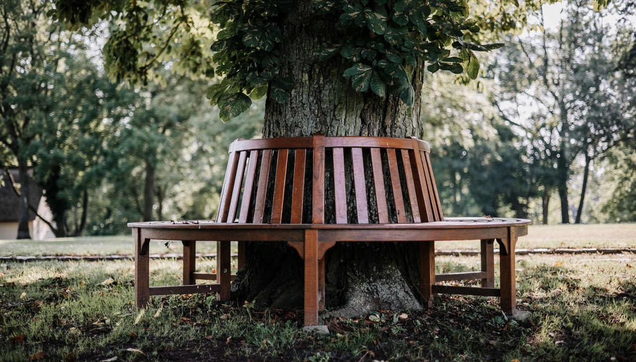 Gezellige plekjes zoals deze boombank vind je overal in het park en het landhuis, © Gutshaus Gremmelin