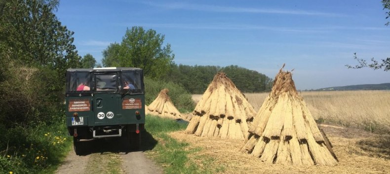 Vorbei an Rohrmieten für neue Dächer // © Volker Barthmann Vorbei an Rohrmieten für neue Dächer // © Volker Barthmann