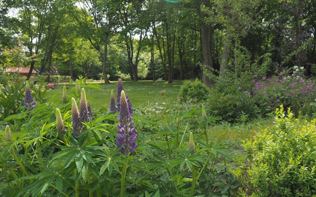 Uitzicht op het park, © Annelie Maiwald