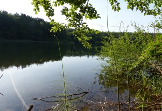 © Bianca Schubert © Bianca Schubert