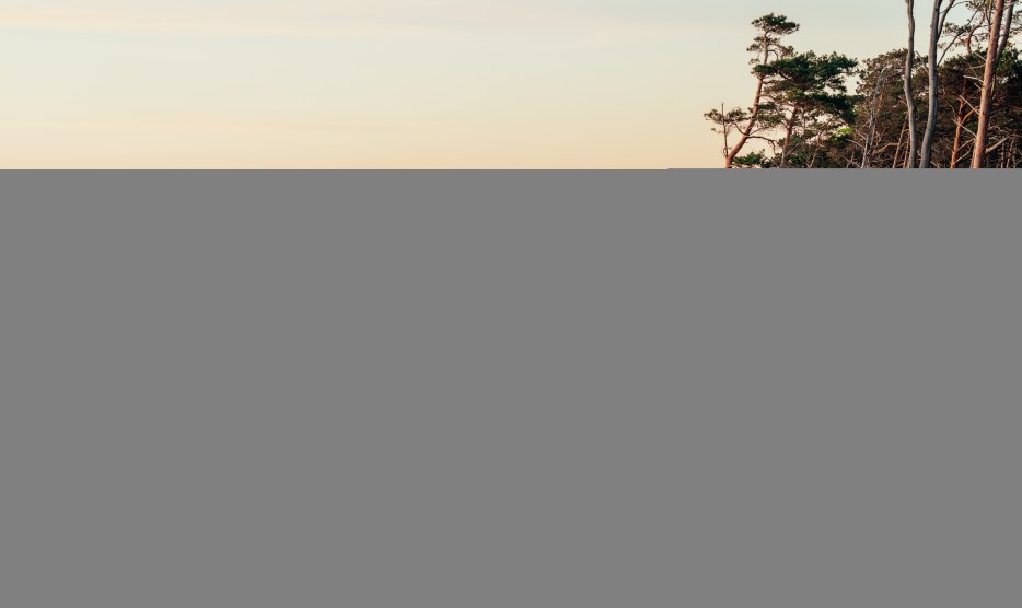 An idyllic walk on the western beach on the Dar&szlig;: three people enjoy the sunset while the coast glows in warm colors and nature comes to rest.