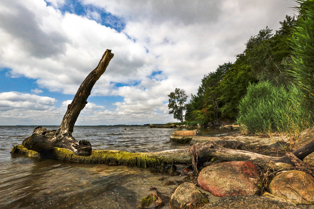 ścieżka-muszenia-i-rozpoznania_2, © TMV/Gohlke