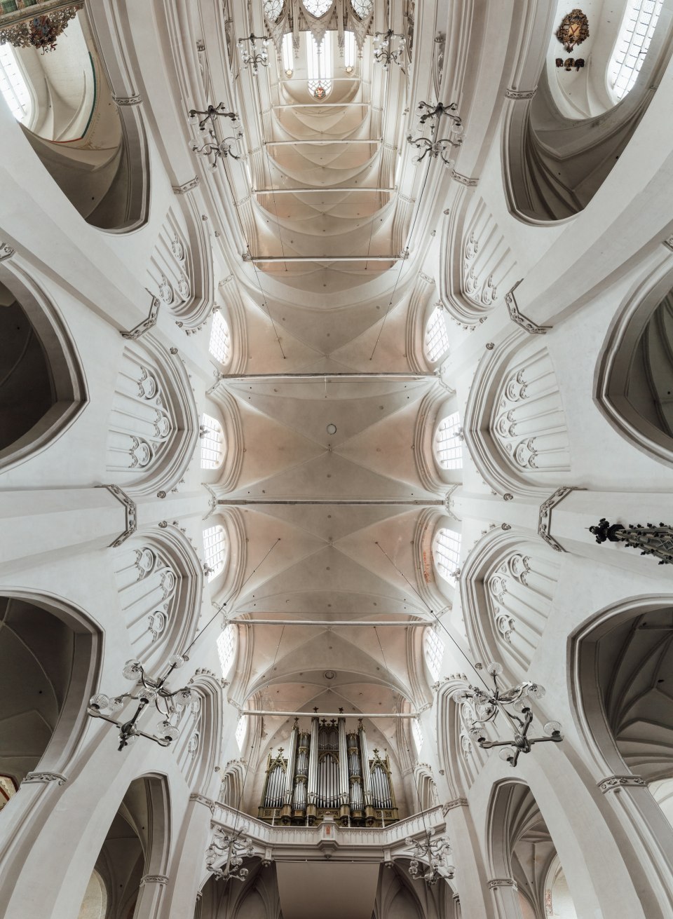 The nave of St. Nikolai Cathedral in Greifswald from below, looking straight up.