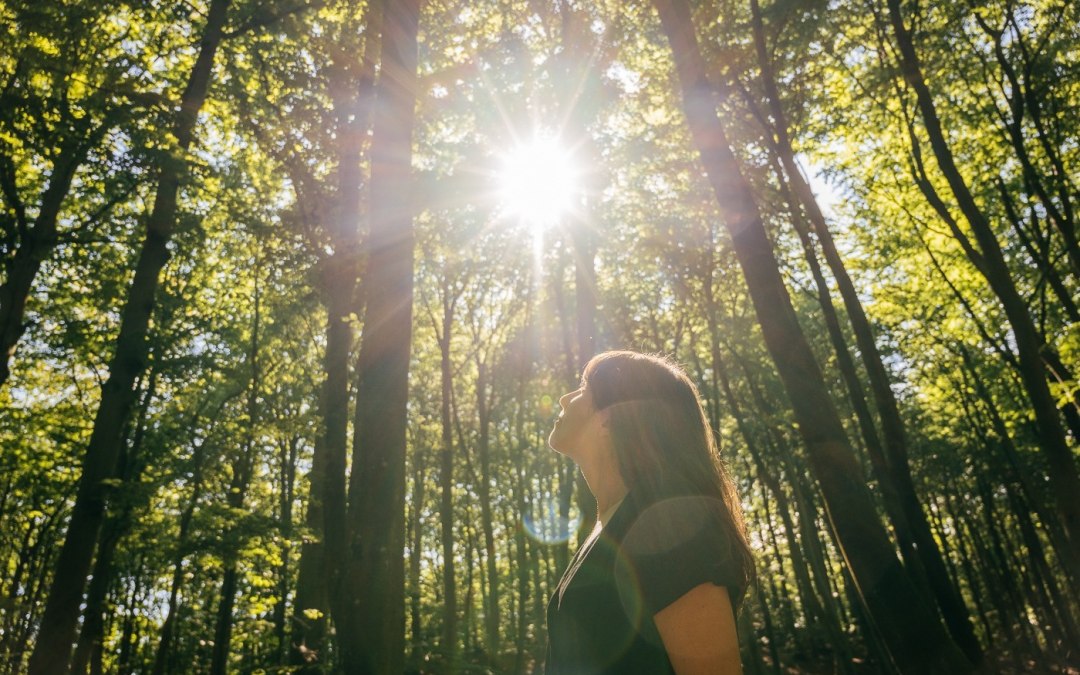 Kąpiel w lesie: Shinrin Yoku, © Binzer Bucht Tourismus | Christian Thiele