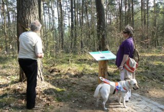 © Nationalparkamt Müritz/Kaiser © Nationalparkamt Müritz/Kaiser