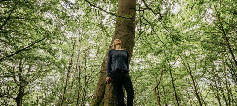 © Binzer Bucht Tourismus © Binzer Bucht Tourismus