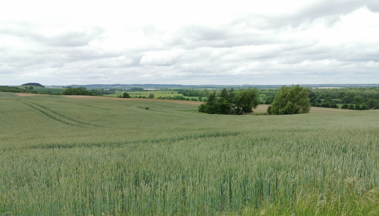 View from the Pohnstorf barbecue area, © E-Bike MV
