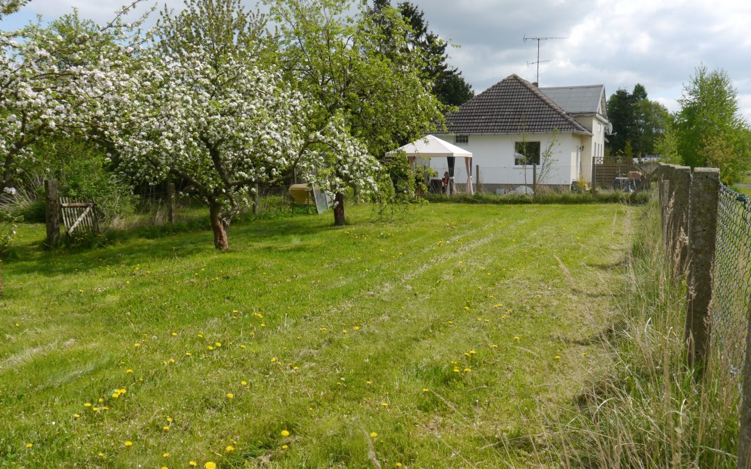 View over the fruit tree meadow to the apartment, © Andreas Stief