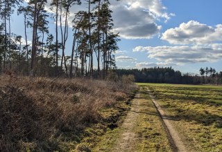 Section of the route at the Peene meadows // &copy; Vincent-Gregor Schulze
