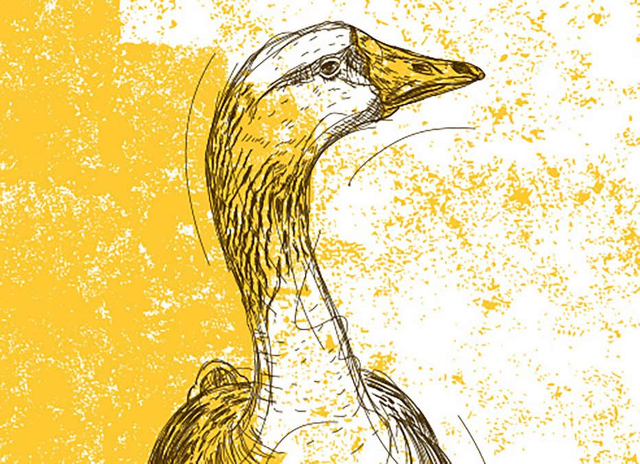 Goose dinner at Restaurant Wehrmanns Alt-Heringsdorf, © Strandhotel Ostseeblick