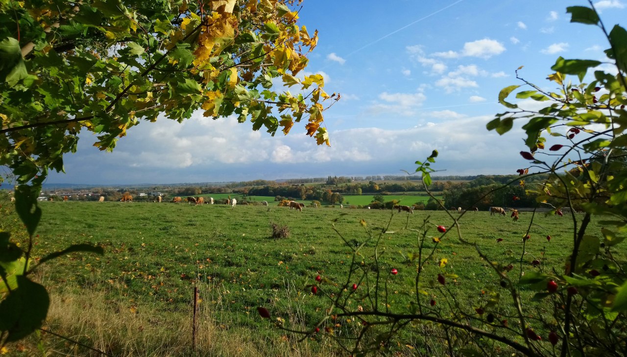 Wanderweg Hohes Holz 9 Foto Koch, © Jana Koch Wanderweg Hohes Holz 9 Foto Koch, © Jana Koch