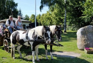 Start der Kutschfahrt // &copy; Hof Thomsen