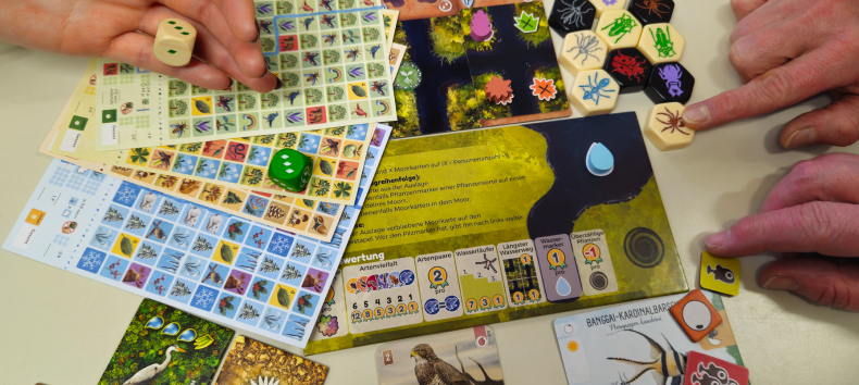 Spiele rund um die Natur gemeinsam erleben // © Müritzeum Spiele rund um die Natur gemeinsam erleben // © Müritzeum