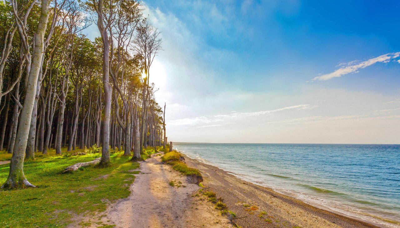 Las duchów Kurort bałtycki Nienhagen, © OBN Las duchów Kurort bałtycki Nienhagen, © OBN