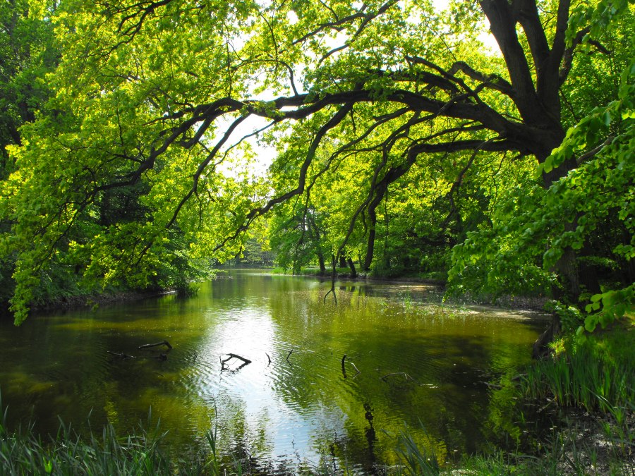 Park krajobrazowy w Behrenhoff, © Tourismusverband Vorpommern e.V.