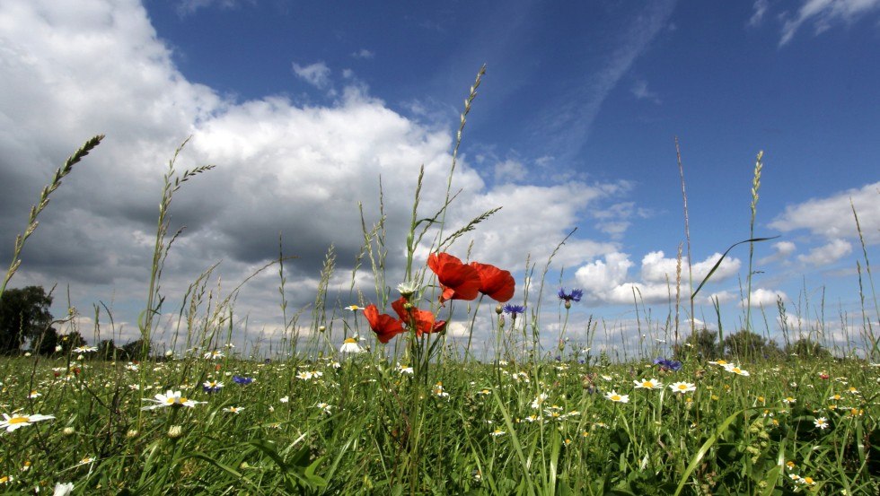 The Gallin estate is picturesquely nestled in the UNESCO Biosphere Reserve Schaalsee, &copy; Gut Gallin / Rasim