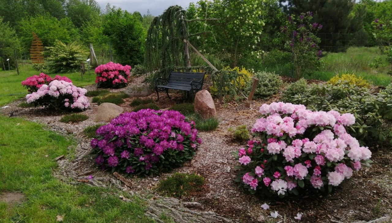 B&uuml;rgerpark Kummer_Harry Baase, &copy; Harry Baase