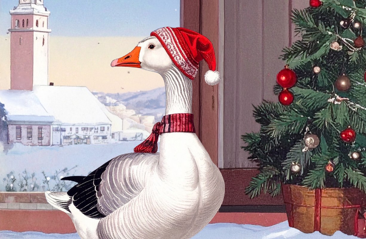 Auguste, the Christmas Goose // © Michael Hotze Auguste, the Christmas Goose // © Michael Hotze