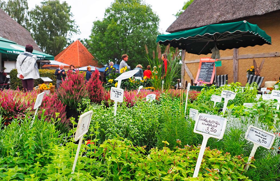 Plantenmarkt, &copy; Freilichtmuseum Klockenhagen