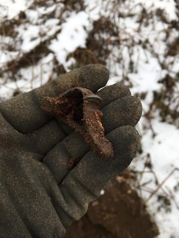 Freshly found: a new brooch from Badow. // &copy; Foto /Ausschnitt: Olaf Wiegel