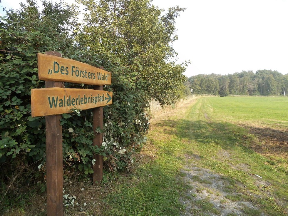 Sign to the forest adventure trail Ummanz // &copy; Tourismuszentrale R&uuml;gen