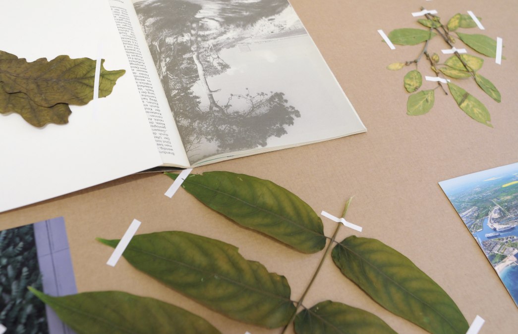 © from "StonesMove. Trees Speak". Courtesy Helene Sommer © from "StonesMove. Trees Speak". Courtesy Helene Sommer