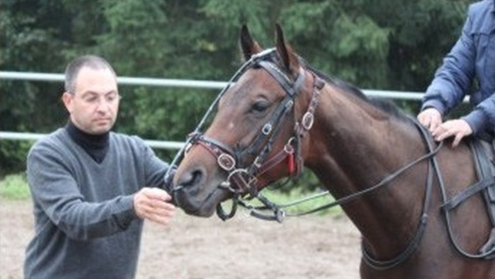 Veterinary clinic Alt-Sammit - Overground and stress endoscopy // &copy; Tierklinik Alt-Sammit