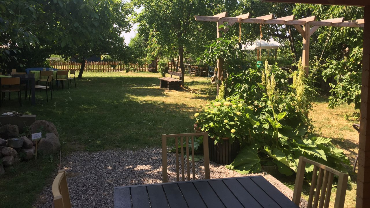 Szk&oacute;łka zi&oacute;ł Luplow // &copy; Silke Voss