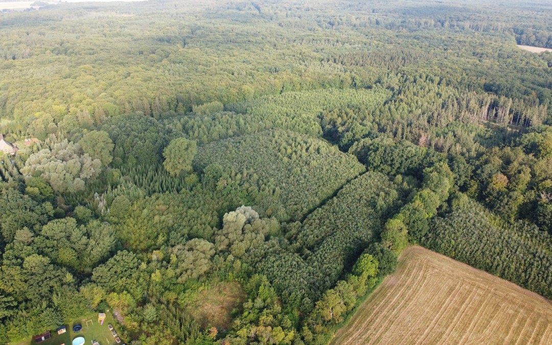 Klimaatbos Golchen, © Landesforst MV