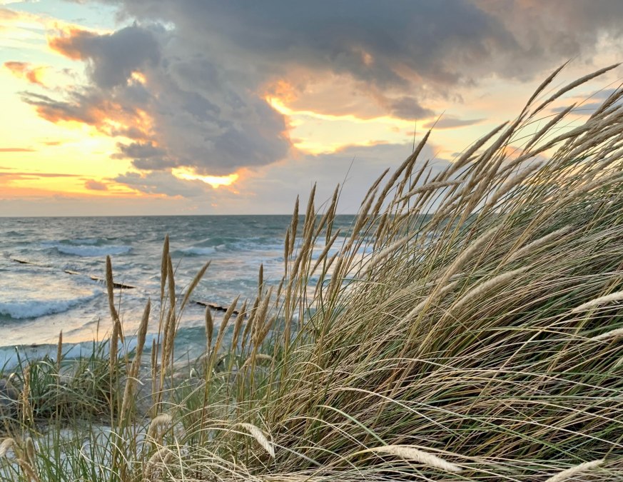 K Baerwald Baltic Sea and marram grass edit, © Nationalparkamt/K.Bärwald