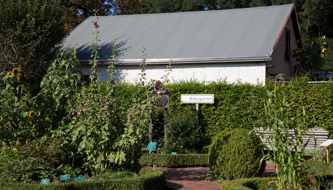 Ogr&oacute;d biblijny, &copy; Stadt Barth