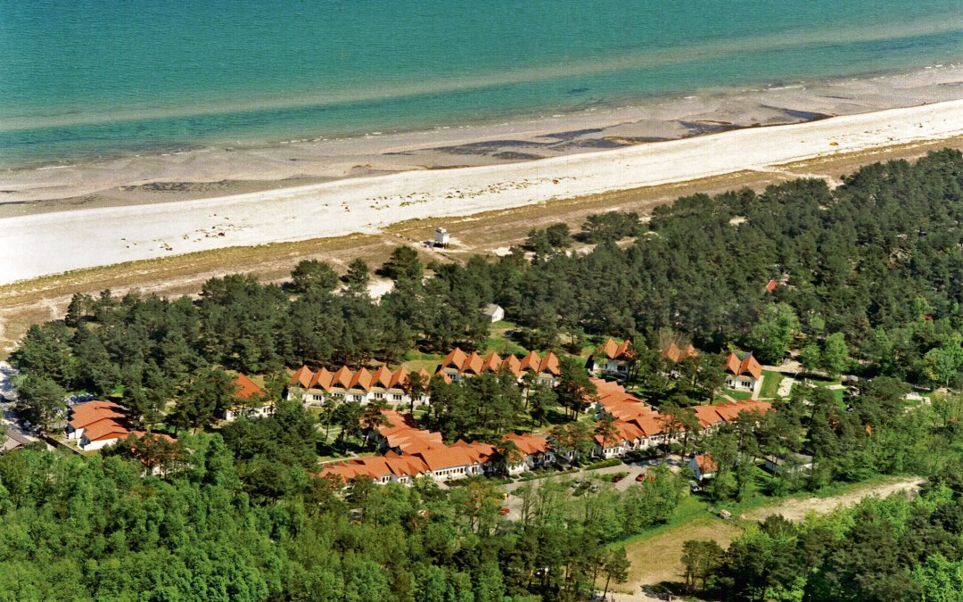 The plant from above, © Haus hinter den Dünen