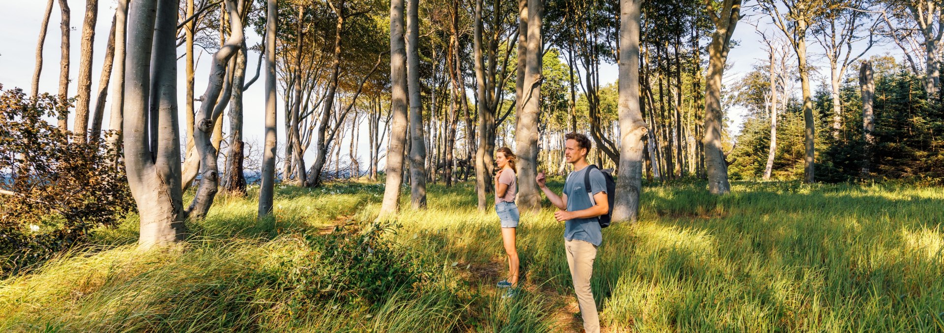 A man and a woman walk along a narrow path through the Rostock Heath, surrounded by tall, light-flooded beech trees and green grass. // Hike through the light-flooded Rostock Heath - a couple enjoys the peace and quiet and nature in the shade of the tall beech trees. // © MV-T/Tiemann A man and a woman walk along a narrow path through the Rostock Heath, surrounded by tall, light-flooded beech trees and green grass.