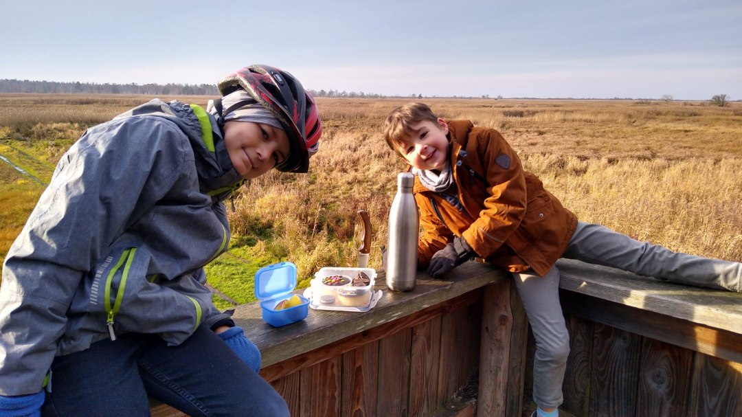 Curious explorers in the H&uuml;telmoor NSG, &copy; Olaf Sch&auml;tzchen