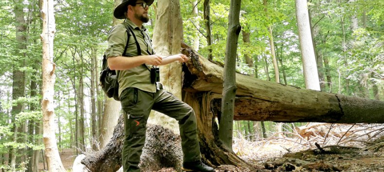 Rangerf&uuml;hrung mit einem Ranger im Naturschutzgebiet Granitz // &copy; Biosph&auml;renreservat S&uuml;dost-R&uuml;gen