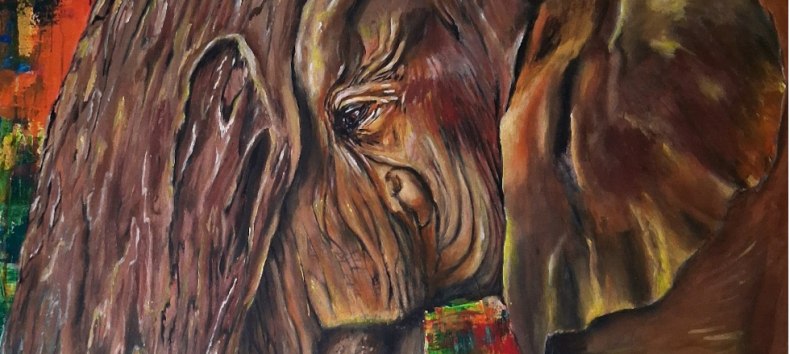 &copy; Diana Teschner