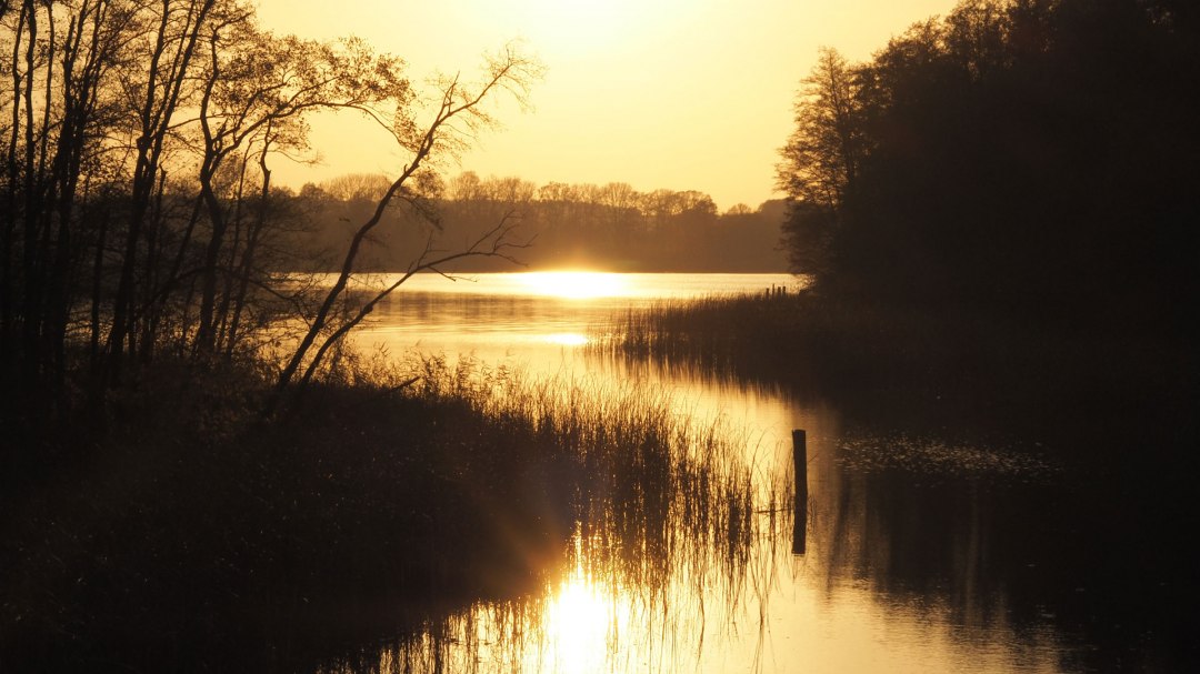 Bathing area at Vilzsee, © Verein für innovative Jugendbildung e.V.