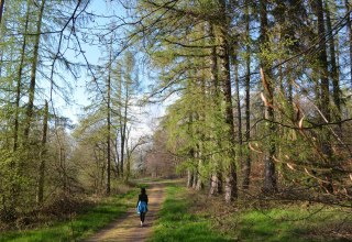 &copy; BluBonRelaXon@Pixabay