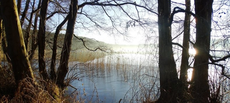 © Andreas Breuer © Andreas Breuer