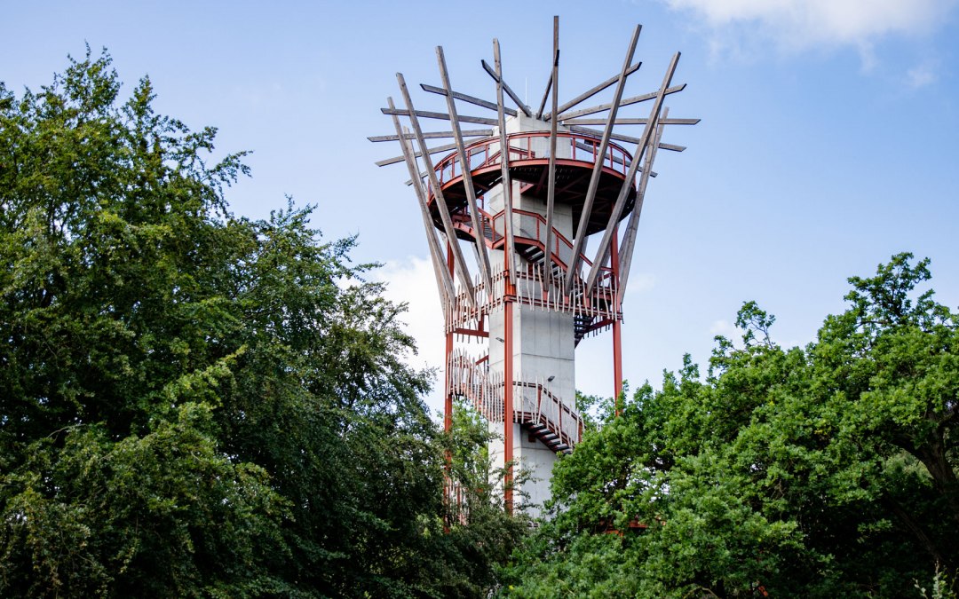 aussichtsturm1, © Landesforst MV