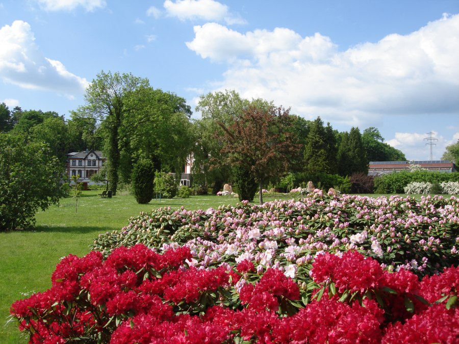 Pokaż ogród 1, © Kur- und Tourismus GmbH Waren (Müritz)