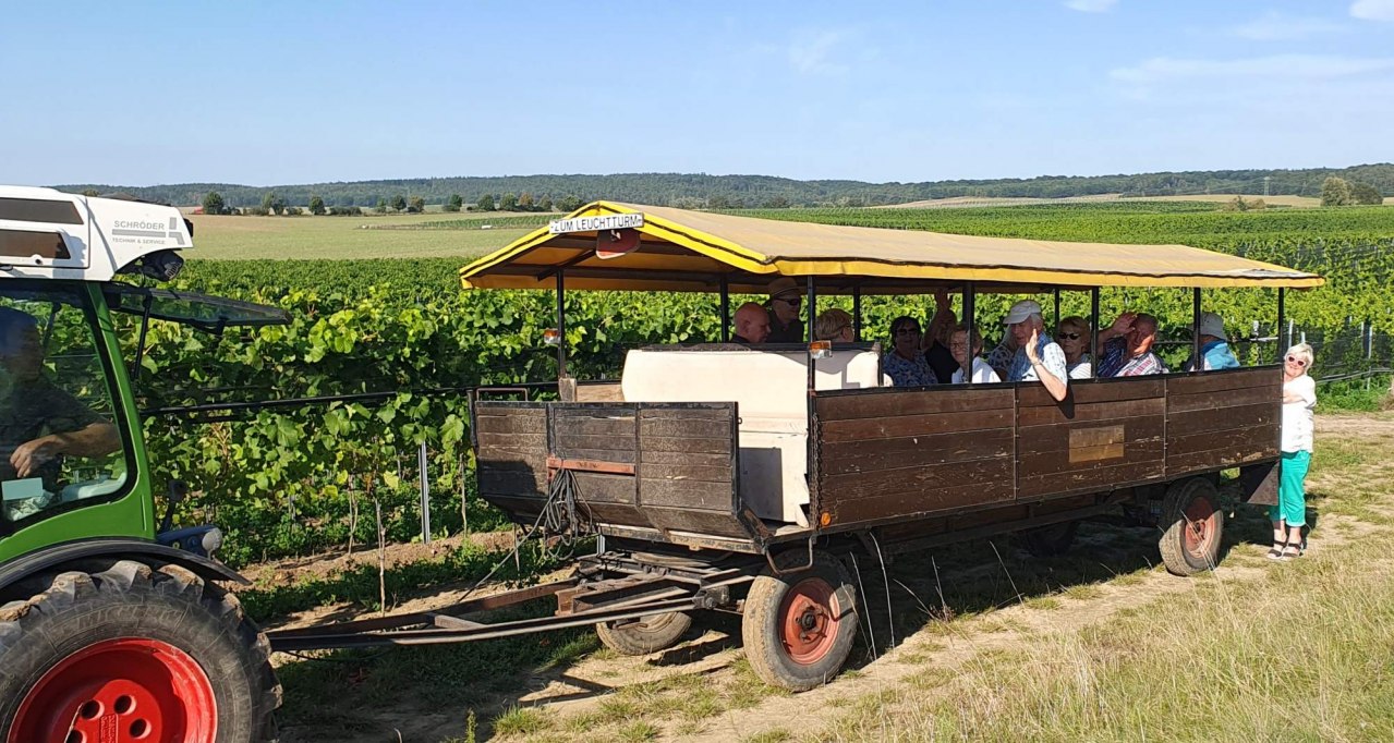 Rattey Castle Winery // &copy; Weingut Schloss Rattey | Inselm&uuml;hle Usedom GmbH