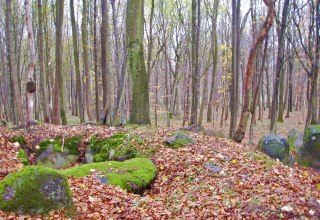 © Archäo Tour Rügen © Archäo Tour Rügen