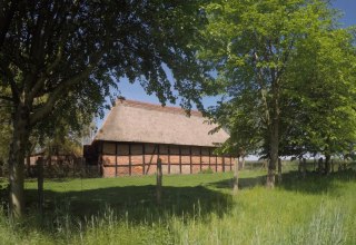 Zicht op de schuur vanuit het dorp, met pijpen bedekt dak // &copy; Museumsscheune Ehlershof