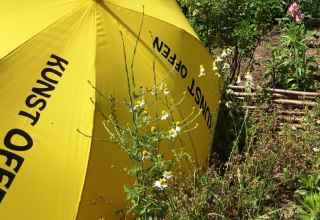 Yellow umbrella to art Open (symbolic image) // &copy; TV Mecklenburg-schwerin e.V.