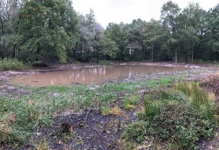 Renaturierte Kubelkakuhle im Jahr 2024. // © Biosphärenreservatsamt Schaalsee-Elbe Renaturierte Kubelkakuhle im Jahr 2024. // © Biosphärenreservatsamt Schaalsee-Elbe